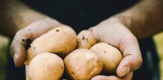 How to boil potatoes?